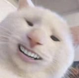 1698638353835374