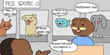 pet store