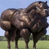 1000100211