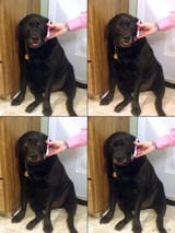 740
