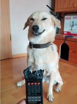 go on lad, this one_s on me