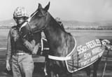 22+Sergeant+Reckless+100+Hero+Warhorses.j