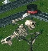 mr.bones
