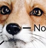 1671833353920427