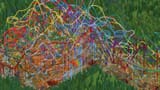 RCT Full Frontiers