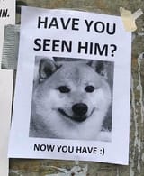 1737708140820435