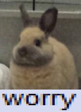 1742812693753892