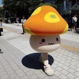 maple story orange mushroom