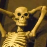 1626030349519