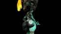 Ass319_thumb.jpg