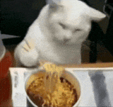eating-ramen-noodles