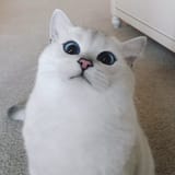 1576718090992