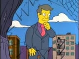 skinner