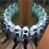 1737729815459674