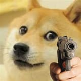 53523523553