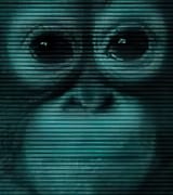 1737462824011614