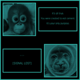 1724607311016623