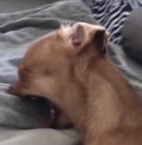 1726181913395192