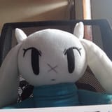 sue