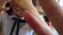 1748176352114339_thumb.jpg