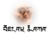 delay llama