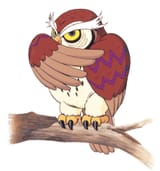 lozla-owl-2653759732