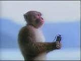 monkecry