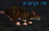 the face of terror