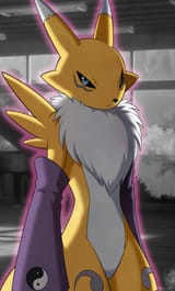 renamon54