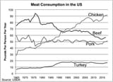 chicken consumption