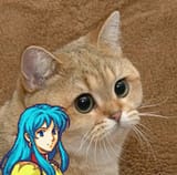 1396891490542