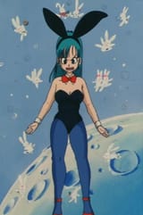Bulma bunny