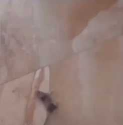 1748497351538400_thumb.jpg