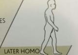 9456457777