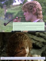 merry and pippin debate