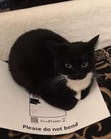 do not bend