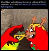 1752253982149515