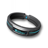 Item_Covenant_Ring
