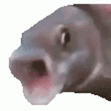 pog-fish