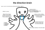 rethoricbrain