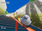 birb