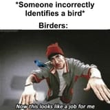 1749173631165078