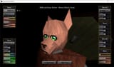 Feline Cutomization