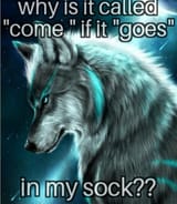 1000004902
