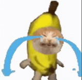 1687588273260221