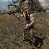 SR-npc-Forsworn_Briarheart