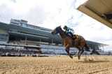 Aqueduct-Racetrack-1024x682
