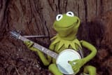 Kermit the Frog