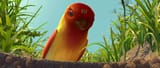 Bugs-life-disneyscreencaps_com-4986