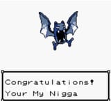 Your My Nigga